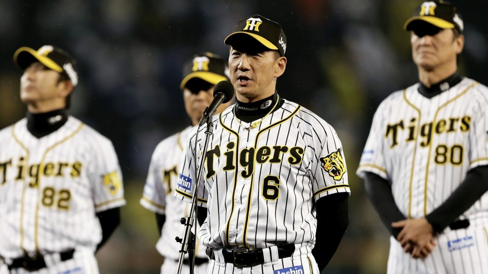 Hanshin Tigers Match Today
